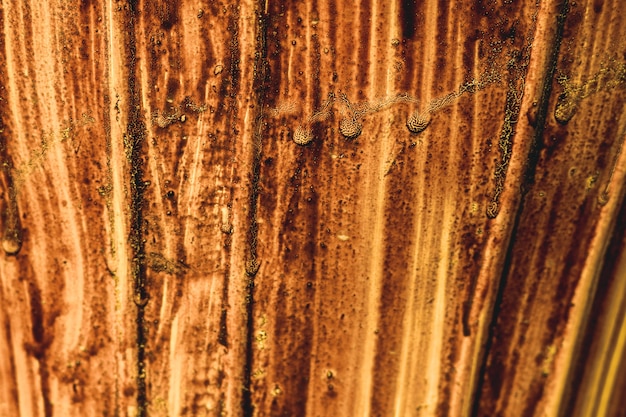 Textura de madera