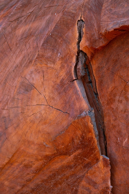 Textura de madera