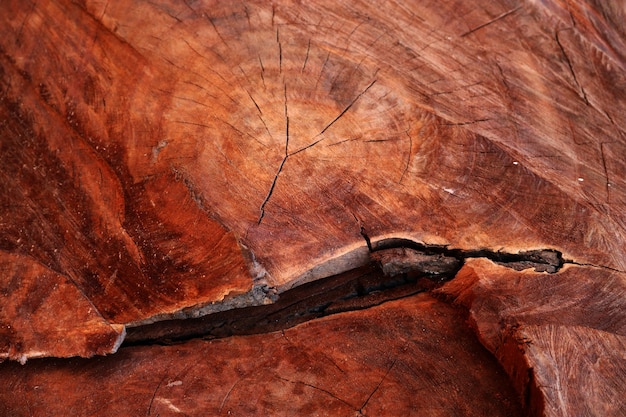 Foto gratuita textura de madera