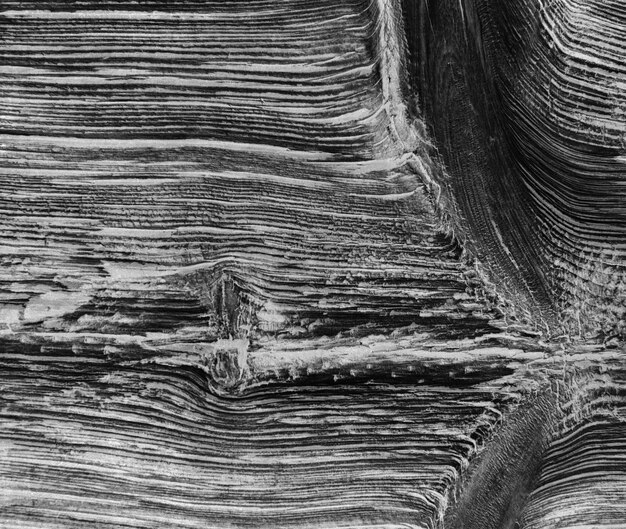 Textura de madera