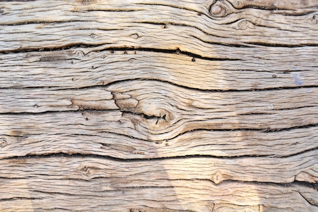 Textura de madera