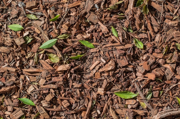 Textura de naturaleza y tierra