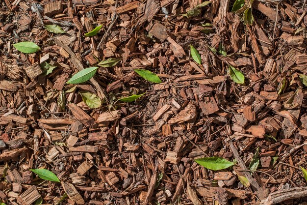 Textura de naturaleza y tierra