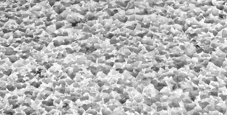 Foto gratuito textura o fondo de hojas verdes