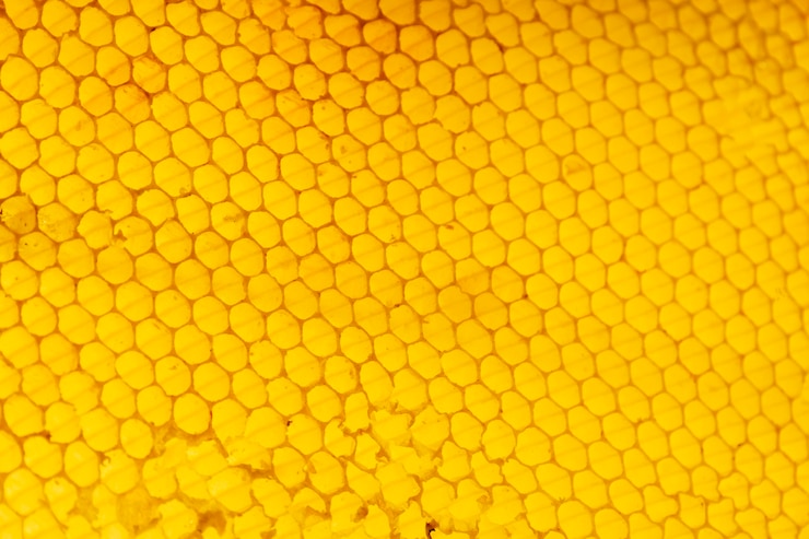 Foto gratuito textura de panal amarilla