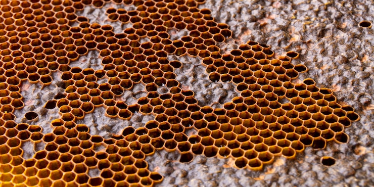Foto gratuito textura de panal amarilla