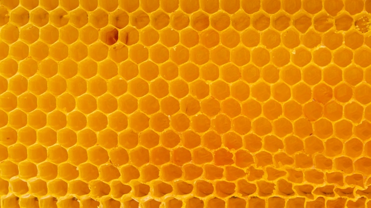 Foto gratuito textura de panal amarilla