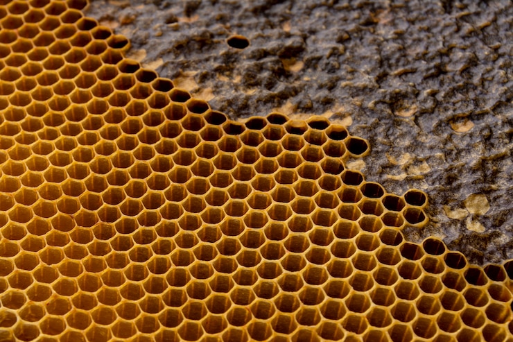 Foto gratuito textura de panal amarilla