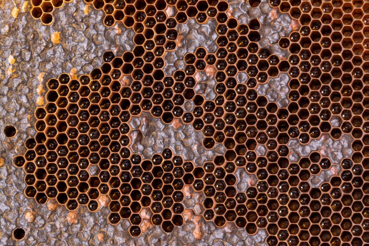 Textura de panal amarillo