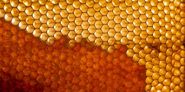 Textura de panal amarillo