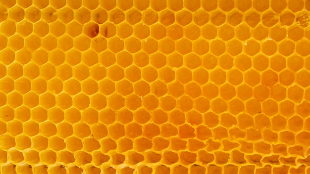 Foto gratuita textura de panal amarillo