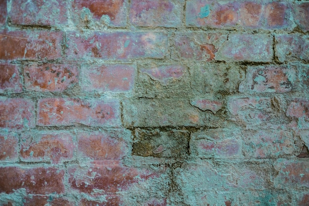 Foto gratuita textura de pared de ladrillo