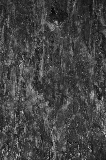 textura de piedra negro