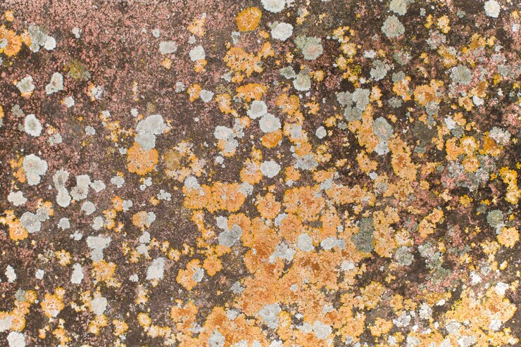 Foto gratuito textura de piedra