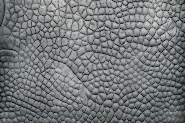 Textura de piel de animal sin pelo