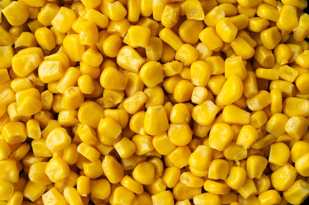 Textura de primer plano de maíz