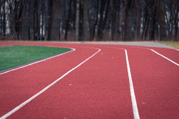 Textura de primer plano de una pista de atletismo en un estadio