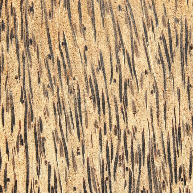 Textura de rayas de madera patrón de fondo