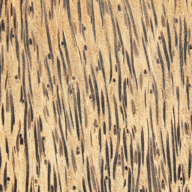 Textura de rayas de madera patrón de fondo