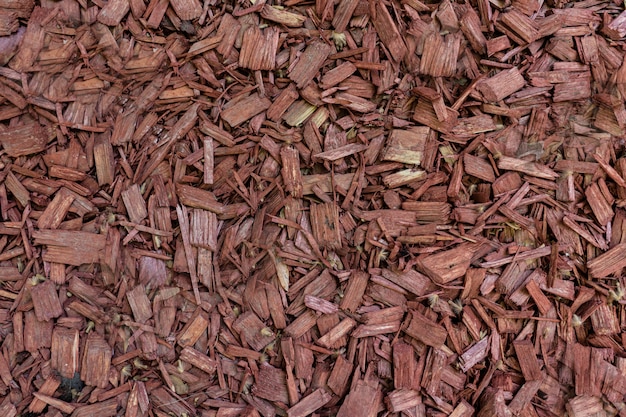 Textura de relieve de la corteza marrón de un árbol de cerca