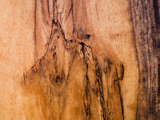 Textura superficial de madera de primer plano