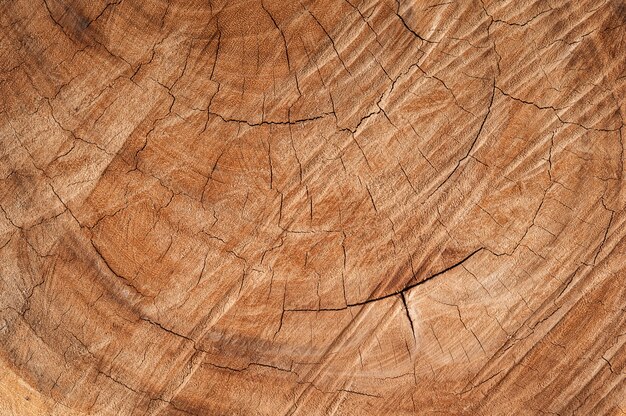 Textura de superficie de madera dañada