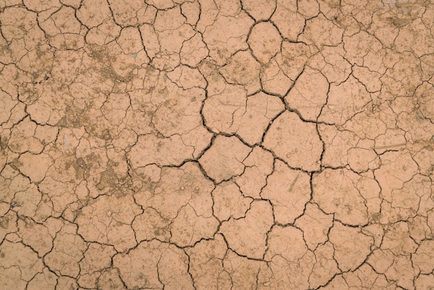 Textura de tierra seca y agrietada.