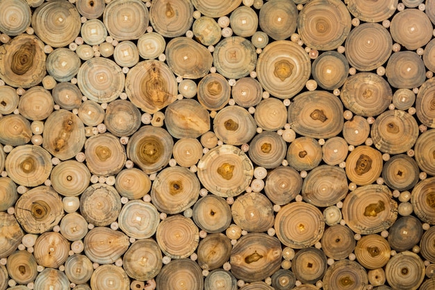 Foto gratuita textura de troncos con diferentes tamaños