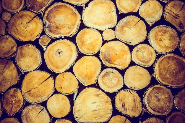Textura de troncos viejos