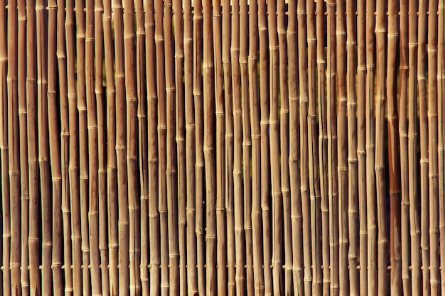 Textura de valla de bambú
