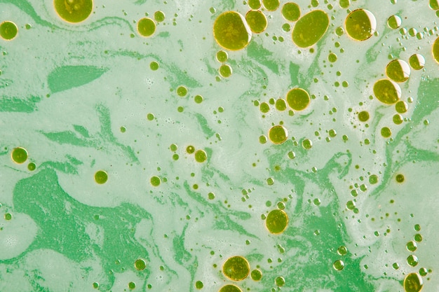 Foto gratuita textura verde de espuma