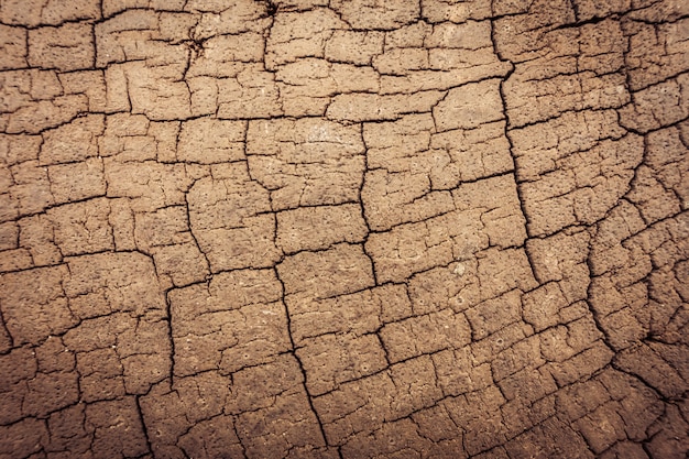 Foto gratuita texturas de madera vieja