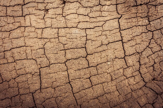 Texturas de madera vieja