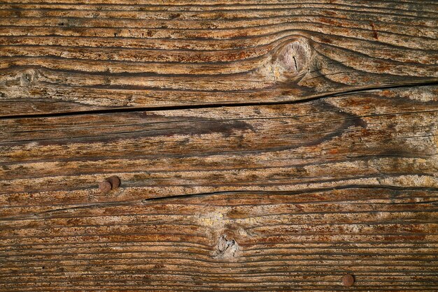 Texture de madera vieja