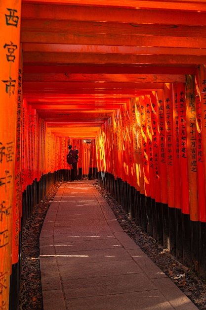 Throusand Torii, santuario Fushima Inari