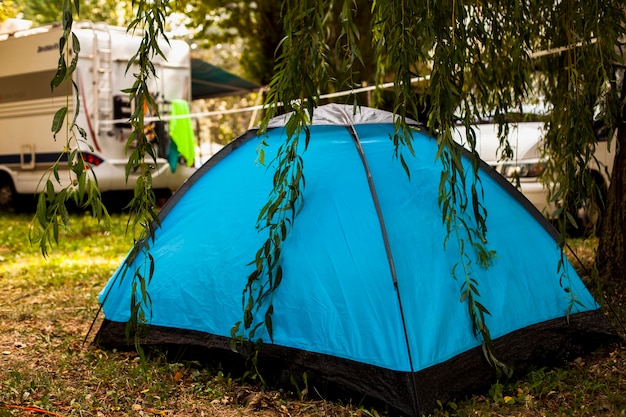 Tienda azul a la sombra de un árbol para acampar