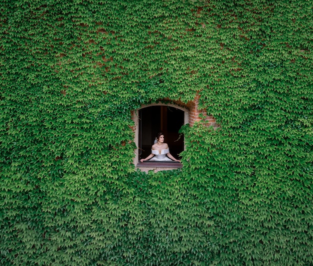 La tierna novia mira desde la ventana, desde el edificio completamente cubierto de hojas