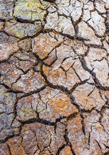 Foto gratuita tierra arcillosa agrietada