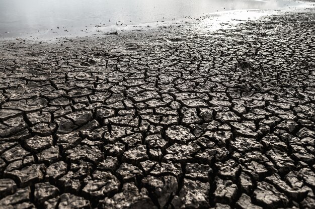 Tierra árida con tierra seca y agrietada, calentamiento global