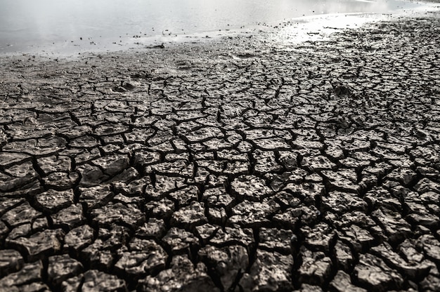 Tierra árida con tierra seca y agrietada, calentamiento global