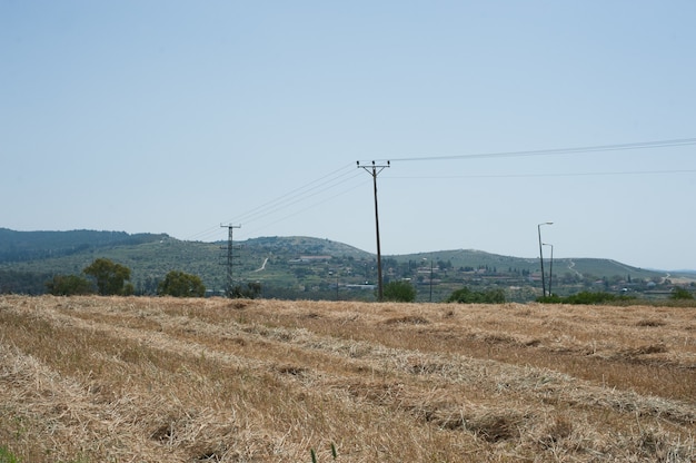 Tierra en la naturaleza