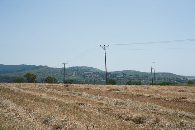 Tierra en la naturaleza