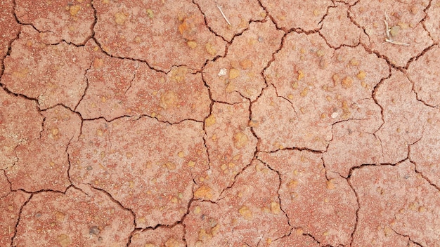 Tierra seca, textura agrietada