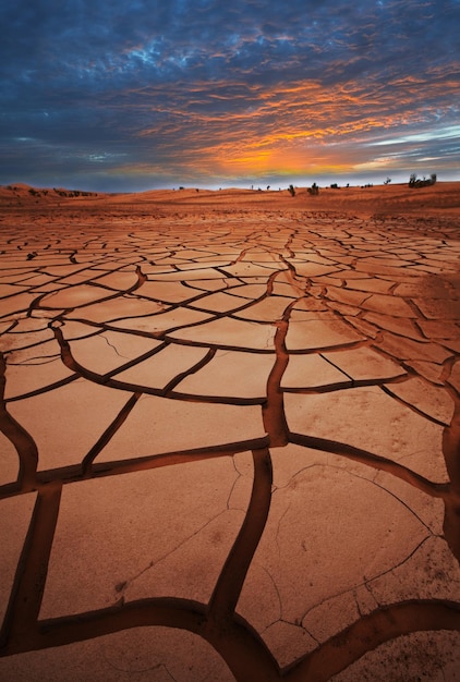 Foto gratuita tierra de sequía