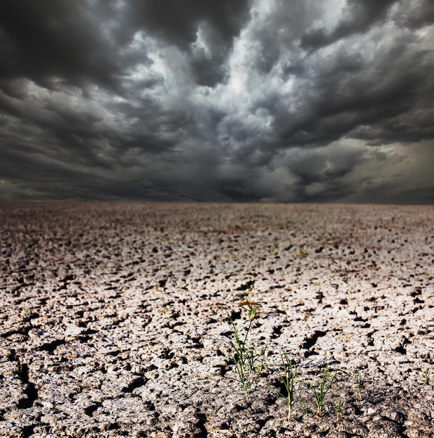 Foto gratuita tierra de sequía