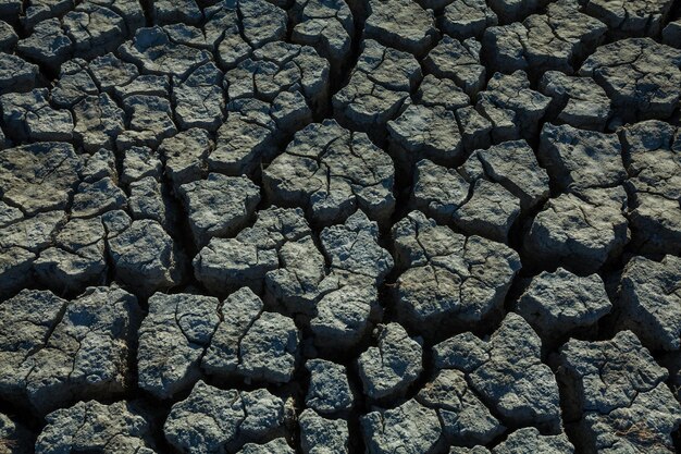 Tierra de sequía