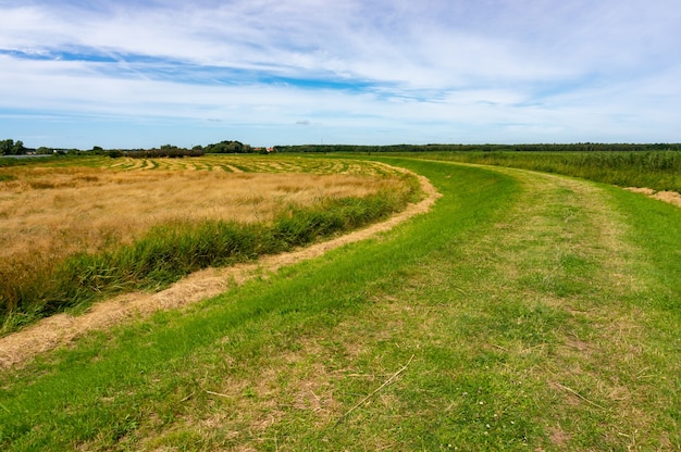 Tierras de cultivo bajo un cielo nublado