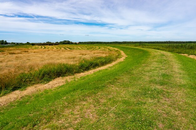 Tierras de cultivo bajo un cielo nublado