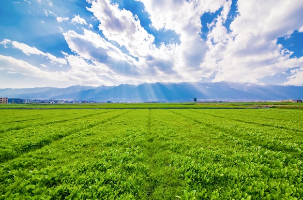 Tierras de cultivo