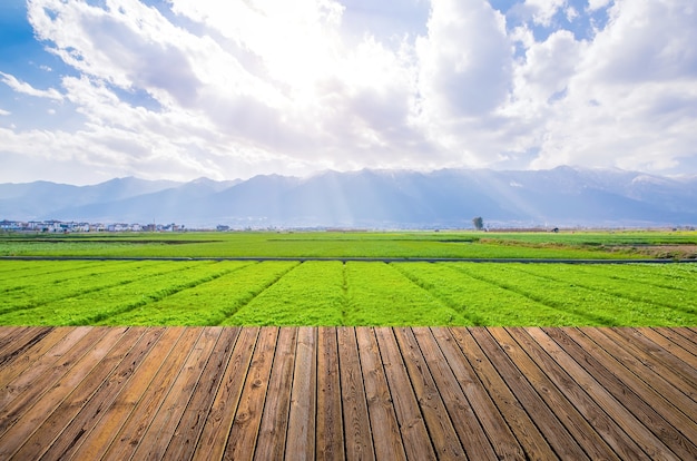 Tierras de cultivo